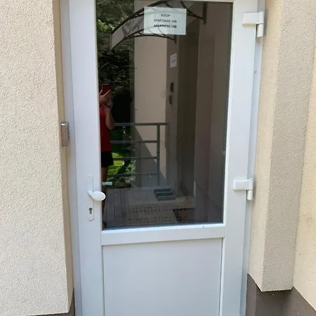 Všemina
