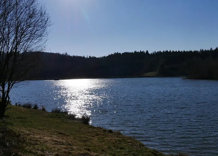 Vsemina Daire